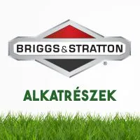Briggs alkatrészek