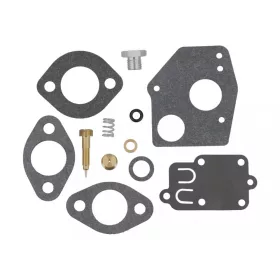   Opravná sada karburátora Briggs pre 5 HP motory s horizontálnou osou