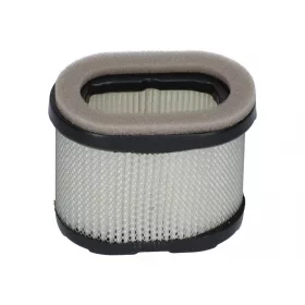 Oválny vzduchový filter Briggs INTEK 5,5-6,5 HP