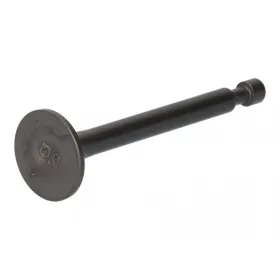 Výfukový ventil MTD Thorx 1P57