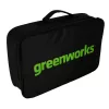 Greenworks G24MCS10 24 V-os mini láncfűrész (akku és töltő nélkül)