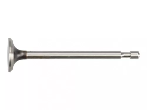 Výfukový ventil Briggs pre 5 HP horizontálne motory