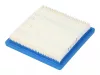 Briggs vzduchový filter 399877