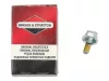 Skrutka Briggs 490875