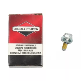 Skrutka Briggs 490875