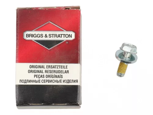 Skrutka Briggs 490875