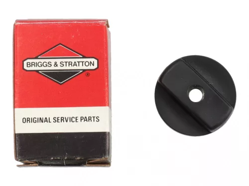 Skrutka Briggs 491875