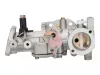 Kompletný karburátor Briggs pre 5 HP motory s horizontálnou osou