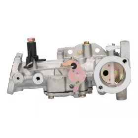   Kompletný karburátor Briggs pre 5 HP motory s horizontálnou osou