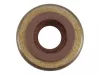 Briggs tesnenie ventilovej tyčky 5x6x15 mm