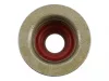 Tesnenie ventilového drieku Briggs 10,2x12 mm