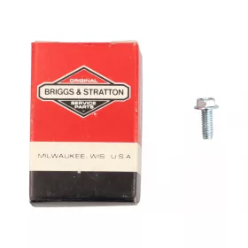 Skrutka Briggs 690345