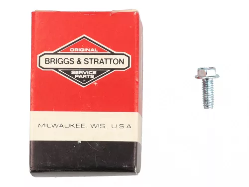 Skrutka Briggs 690345