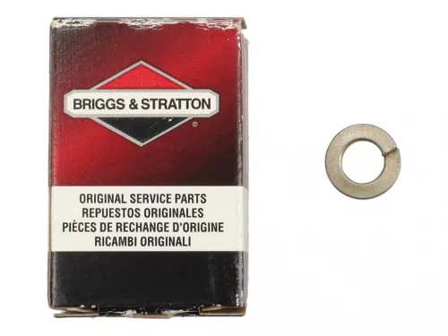 Poistný krúžok Briggs 691075