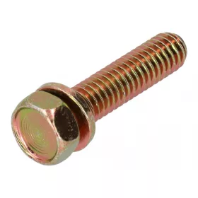 Skrutka Briggs 691088