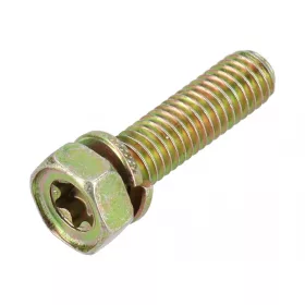 Skrutka Briggs 691090