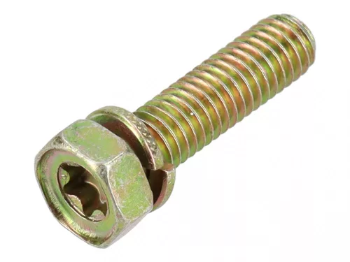 Skrutka Briggs 691090