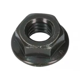 Briggs matica 691105