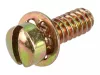 Skrutka Briggs 691619