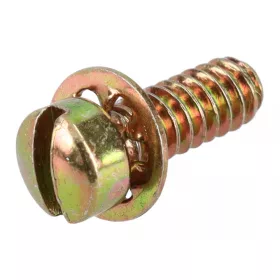 Skrutka Briggs 691619