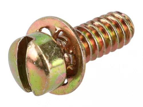 Skrutka Briggs 691619