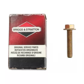 Skrutka s plochou hlavou Briggs 691662