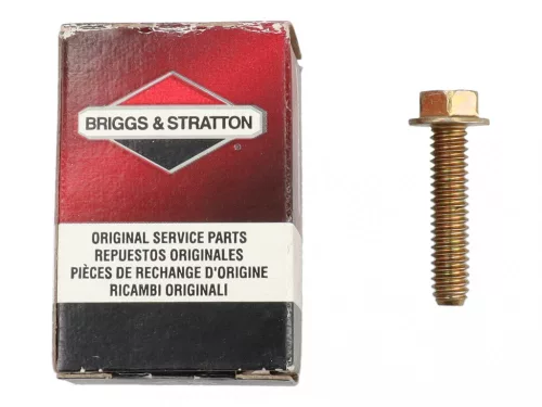 Skrutka s plochou hlavou Briggs 691662