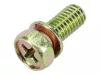 Skrutka Briggs 692083