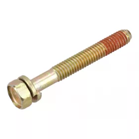 Skrutka Briggs 692125