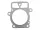 Briggs tesnenie hlavy valcov Intek V-Twin