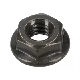 Briggs matica 696757