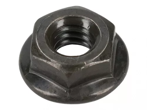 Briggs matica 696757
