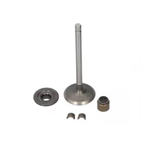 Briggs sací ventil 697464