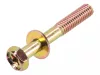 Skrutka Briggs 710096