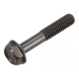 Skrutka Briggs 805395