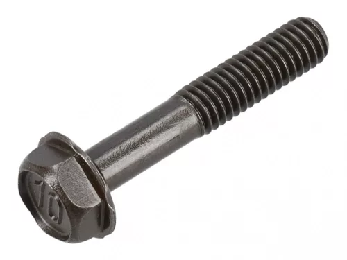 Skrutka Briggs 805395