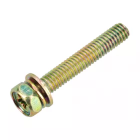 Skrutka Briggs 805407