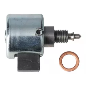Briggs karburátor s magnetickým ventilom