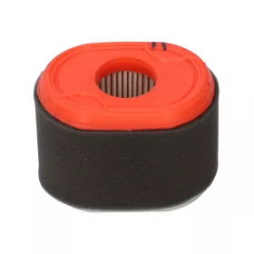   Vzduchový filter Briggs pre motor s horizontálnou osou 550 series