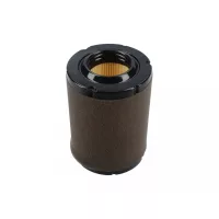 Zongshen motor