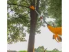 INGCO Akkus magassági ágvágó 200 mm 0-200 mm szénkefe nélküli 20 V (akku és töltő nélkül)